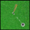 Amazing Golf - Jogo de Desporto 