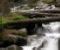 Forest Waterfall - Jogo de Puzzle
