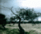 Antes da Tempestade... - Jogo de Puzzle