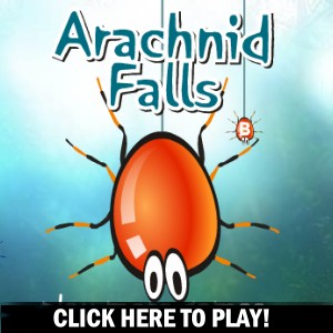 Arachnid Falls - Jogo de Acção 